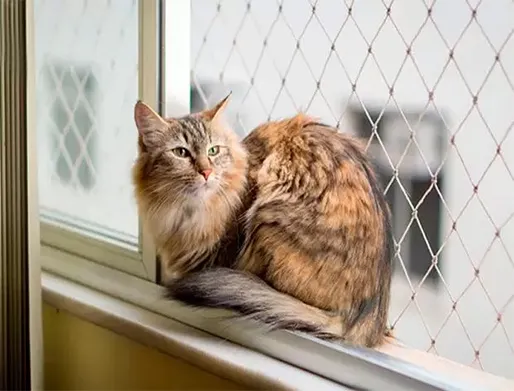 Rede de Proteção para Animais